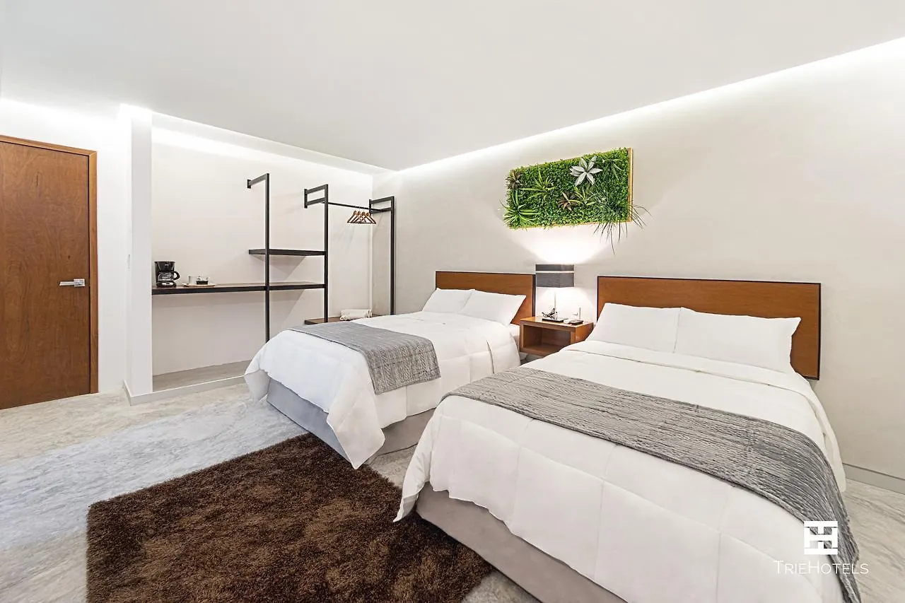 Hotel Urban 101 Chetumal 3*,