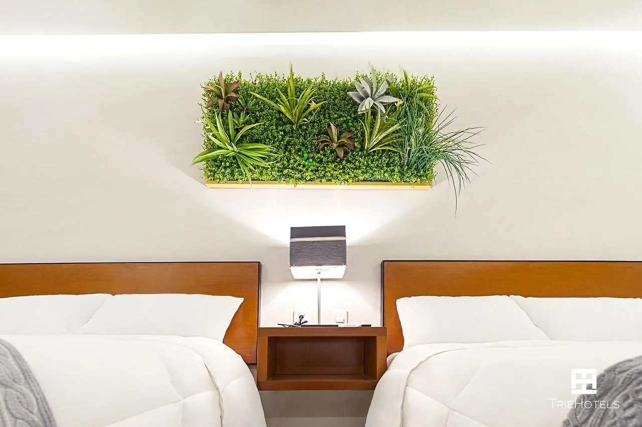 ***  Hotel Urban 101 Chetumal Mexico
