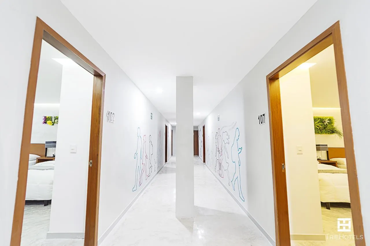 Hotel Urban 101 Chetumal