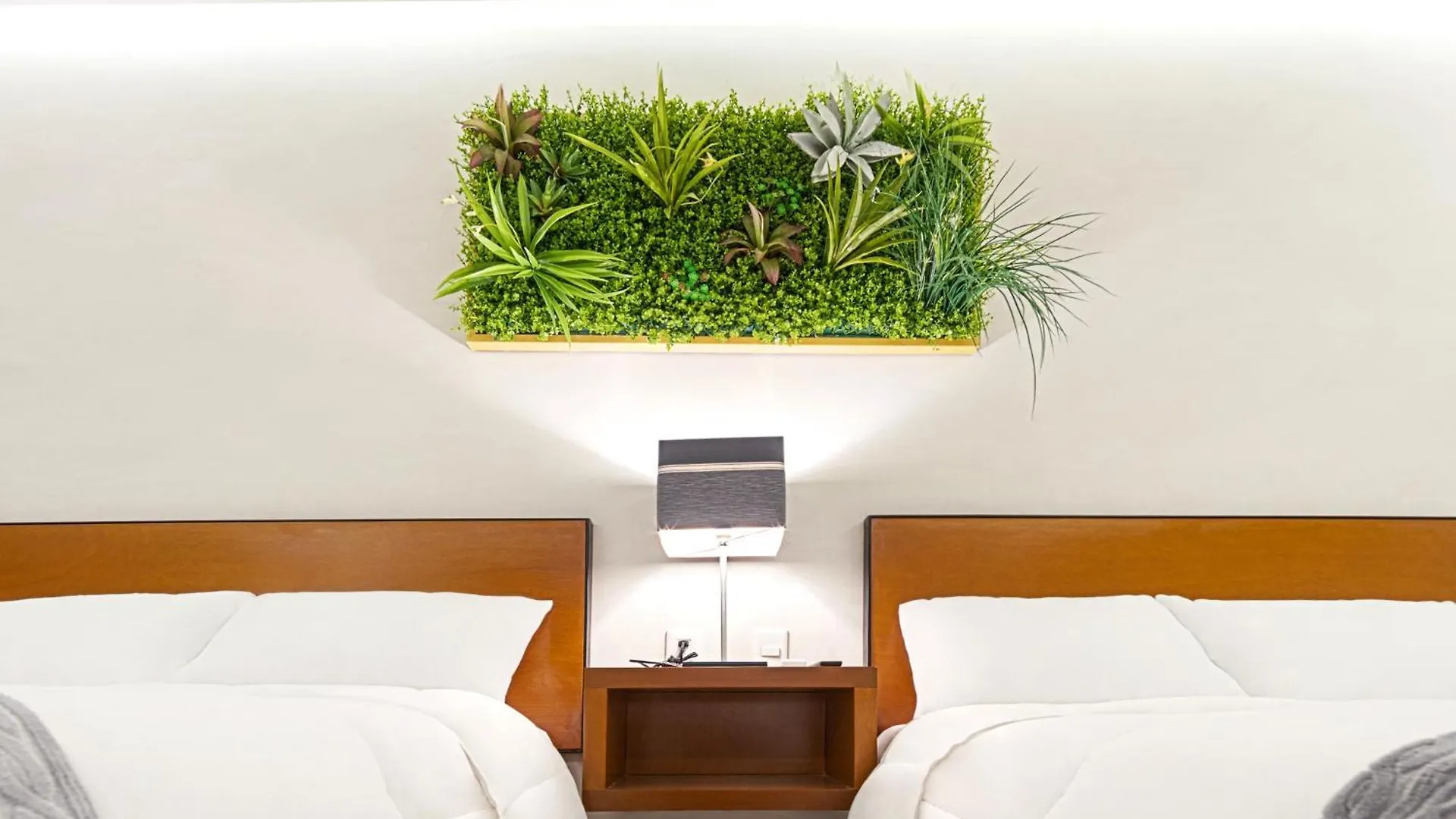 Hotel Urban 101 Chetumal
